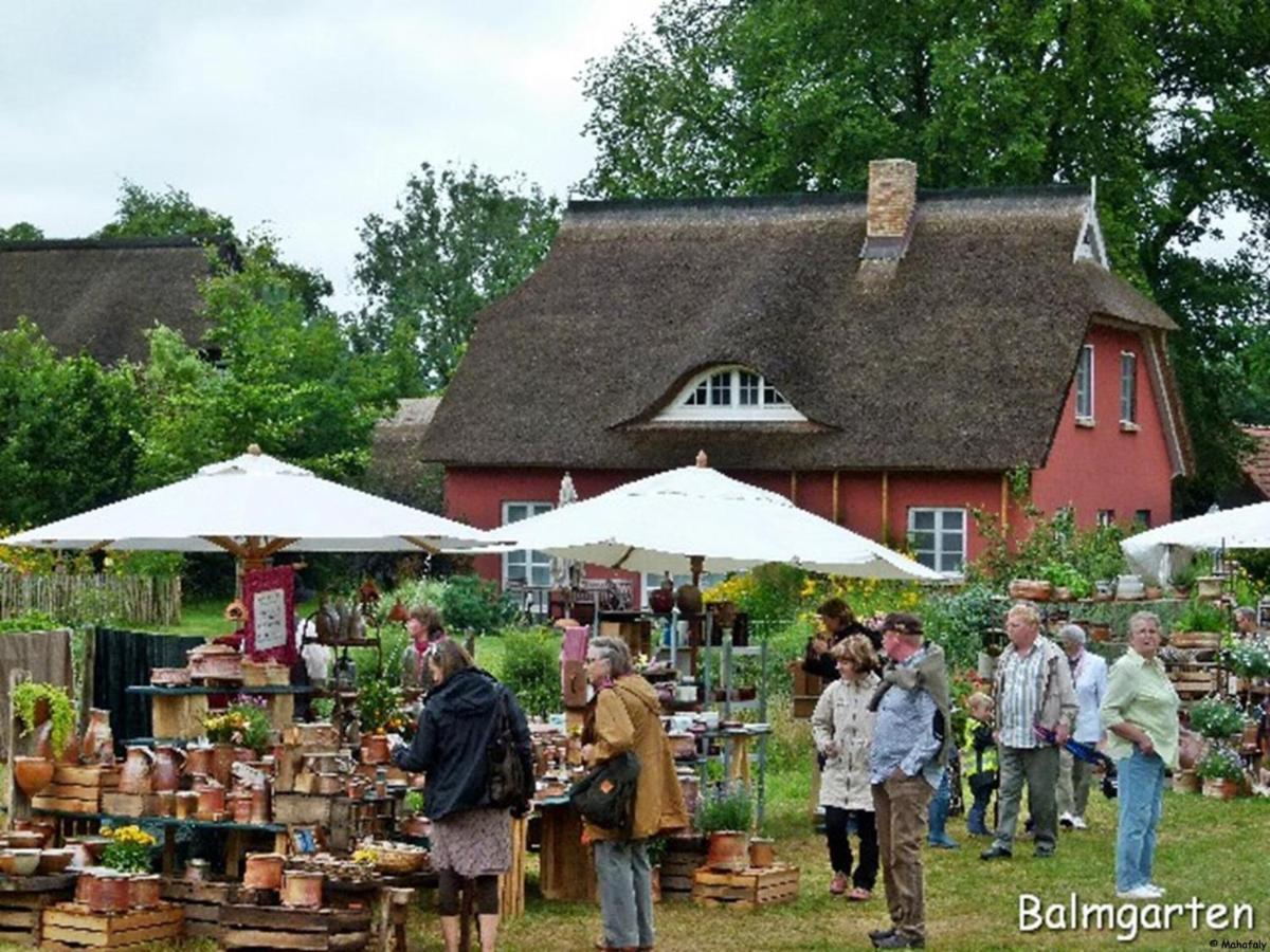 "Balmgarten" Im Naturpark Usedom, Bio Solarhaus Mit Grossem Garten Apartment Exterior photo