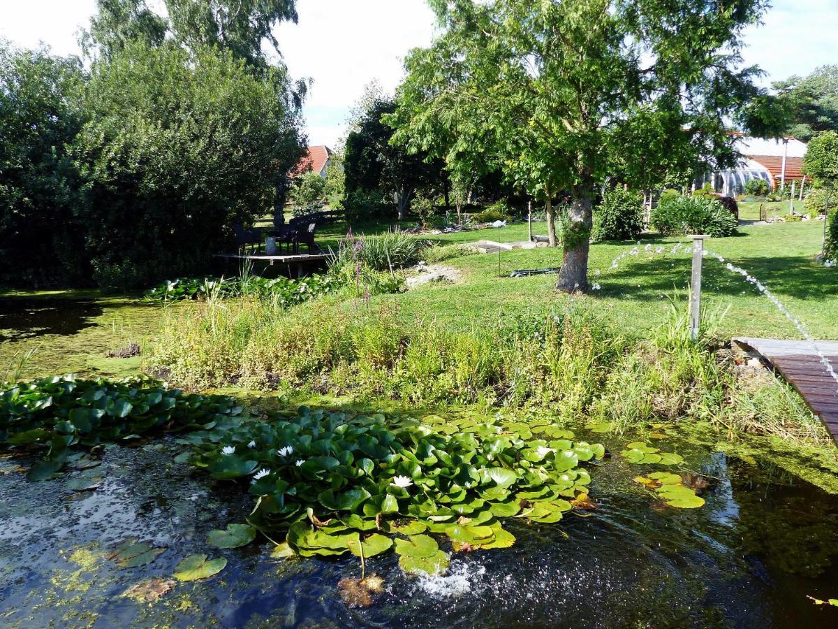 "Balmgarten" Im Naturpark Usedom, Bio Solarhaus Mit Grossem Garten Apartment Exterior photo